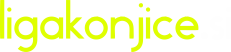 LigaKonjice