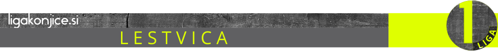 srednjaLestvica1